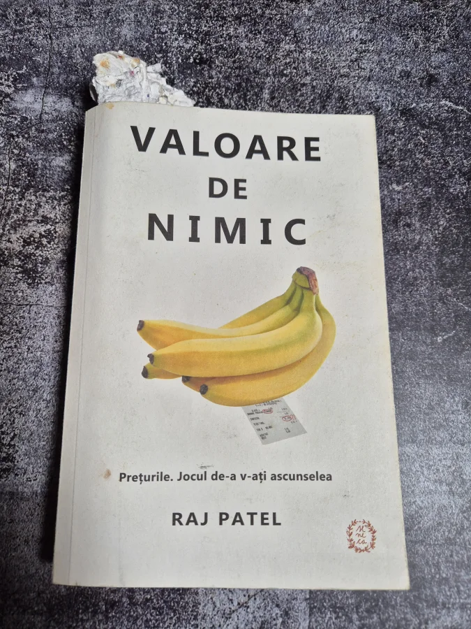 Raj Patel, Valoare de nimic
